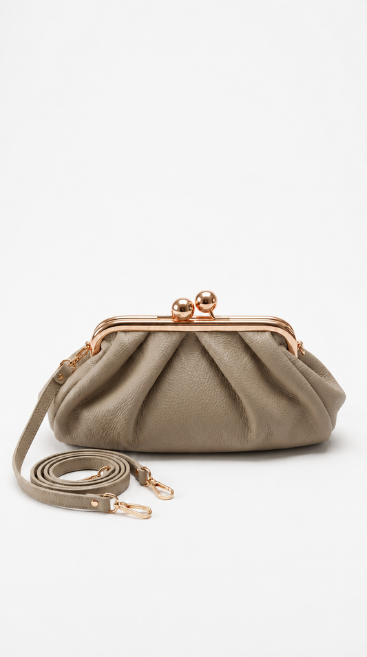Bolso Suiza
